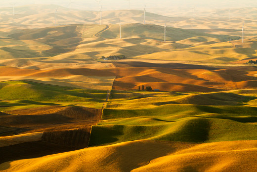960247 (a): :2048x1365